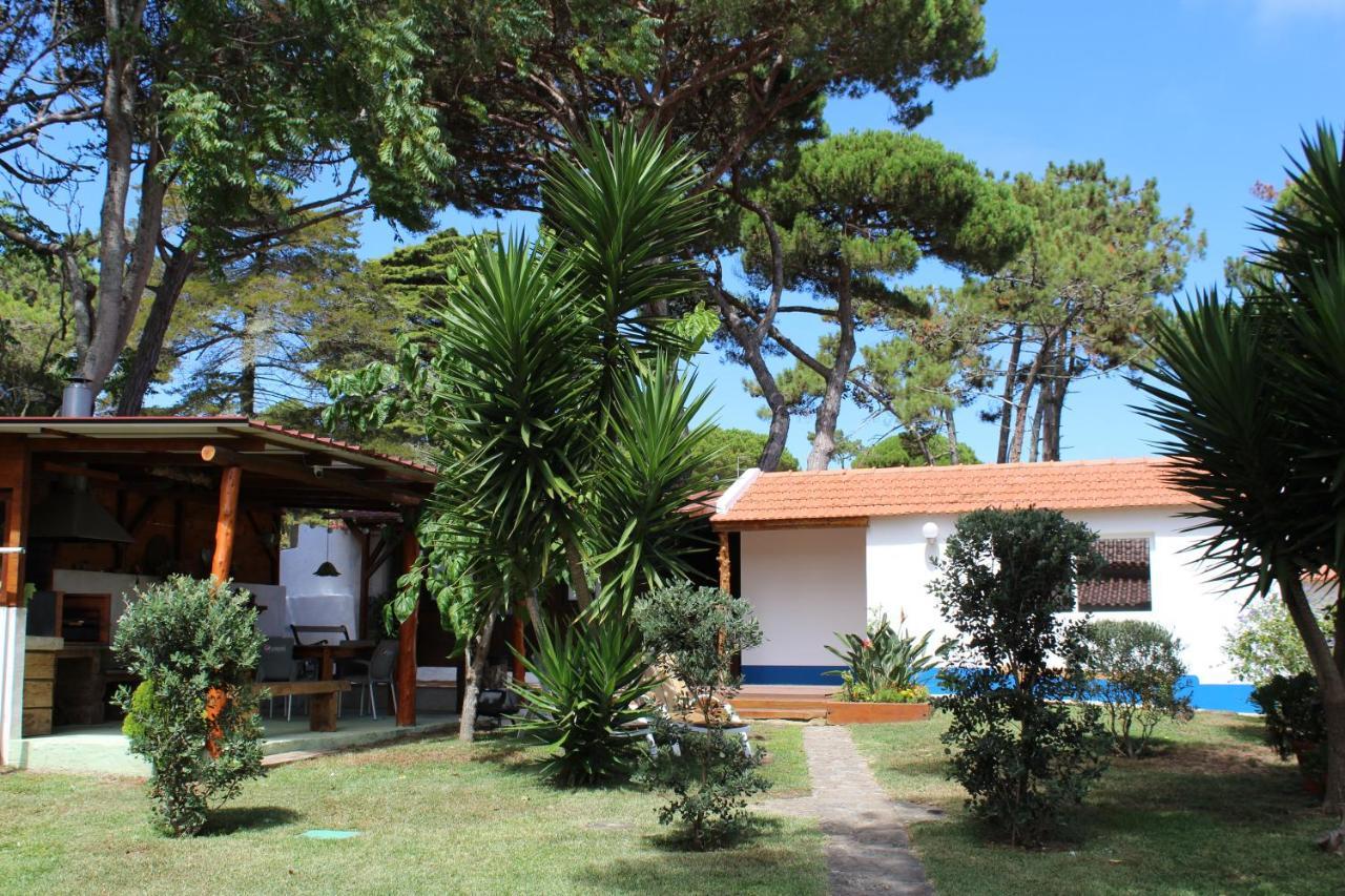 Casinha Do Pinhal Colares Exterior foto